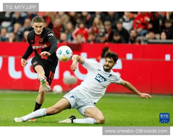 霍芬海姆主帅：刻苦训练是球队成功关键